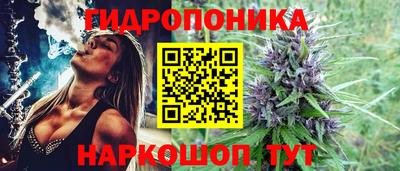 прущая мука Жуковский